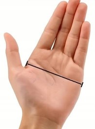 Rękawice motocyklowe Motocentric / Zielone / XL